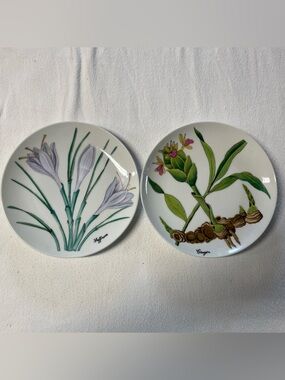 Shafford Japan Vintage Saffron & Ginger Design Plates Set of 2